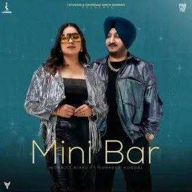 Mini Bar Cover