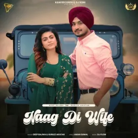 Naag Di Wife Cover
