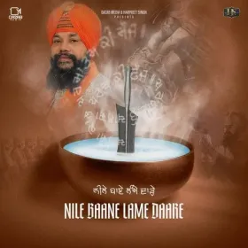 Nile Baane Lame Daare Cover