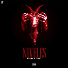 NIVELES - Kxnng Cover