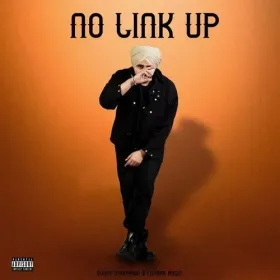 No Link Up Cover