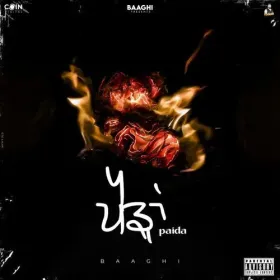 Paida Cover