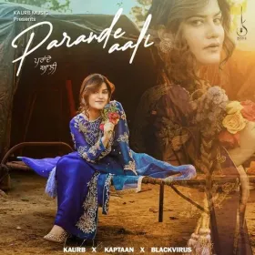 Parande Aali Cover