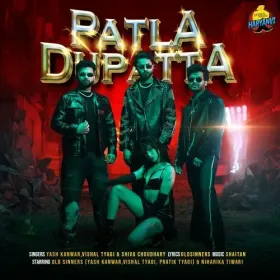 Patla Dupatta Cover