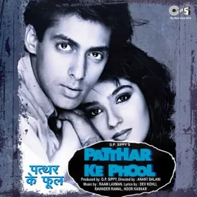 Sun Dilruba Cover