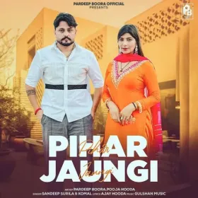 Pihar Jaungi Cover