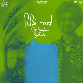 Pindan Aale - Ekam Chanoli Cover