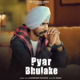Pyar Bhulake Cover