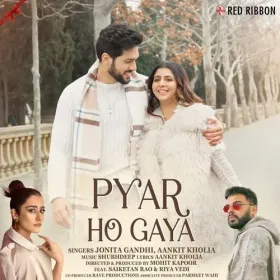 Hum Is Paar Cover