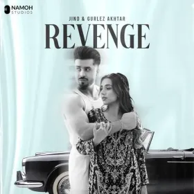 Revenge Cover