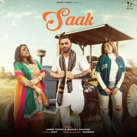 Saak Cover