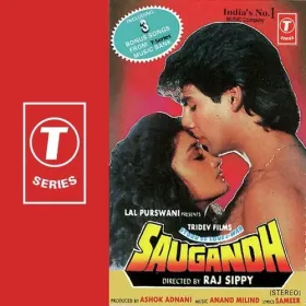 Haar Gaya Dil Fariyaad Karke Cover