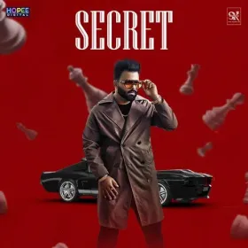Secret Cover