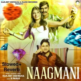Seene Se Laga Ke Rakhu Cover