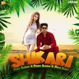 Shikari - Preet Sandhu Cover