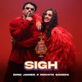 Sigh - Royal Stag Packaged Drinking Water Boombox Cover