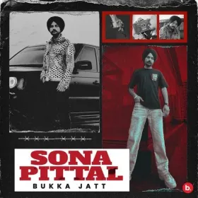 Sona Pittal Cover