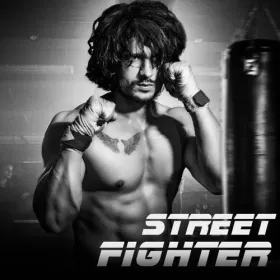 Street Fighter Cover