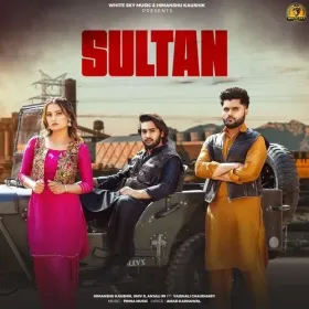 Sultan (feat. Vaishali Chaudhary) Cover