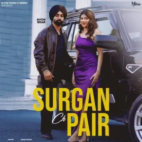 Surgan Ch Pair Cover
