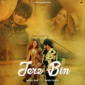 Tere Bin Cover