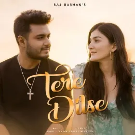 Tere Dilse Cover