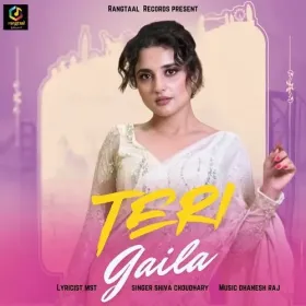 Teri Gaila Cover