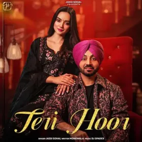 Teri Hoor Cover