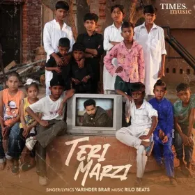 Teri Marzi Cover