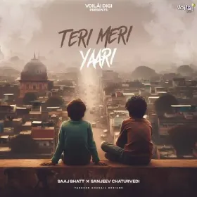 Teri Meri Yaari Cover