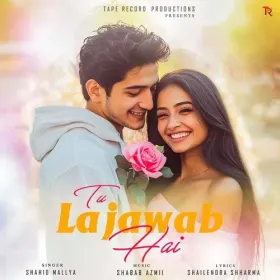 Tu Lajawab Hai Cover