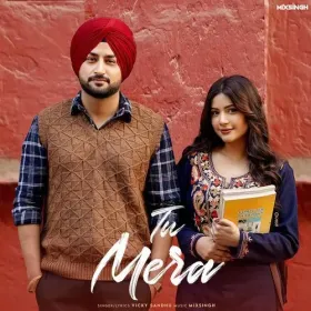 Tu Mera Cover