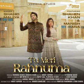 Tu Meri Rahnuma Cover