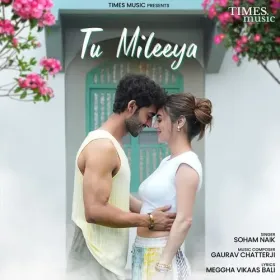 Tu Mileeya Cover