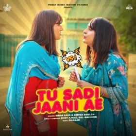 Tu Sadi Jani Ae Cover