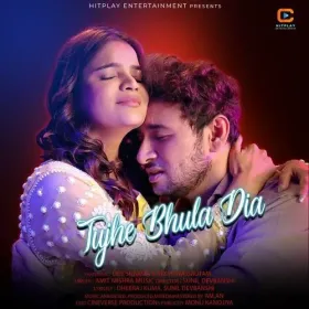 Tujhe Bhula Dia Cover