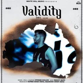 Validity - Opinder Dhillon Cover