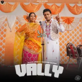 Vally - Balkar Ankhila Cover