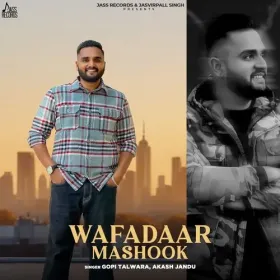 Wafadaar Mashook Cover