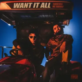 WANT IT ALL Cover