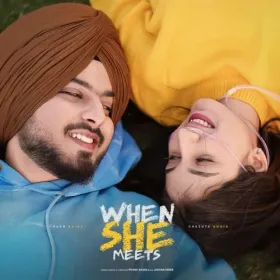 When She Meets Cover